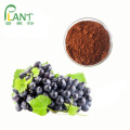 Polvo de extracto de semilla de uva antioxidante natural OPC